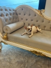 Chaise Divã Americano - Modelo Exclusivo Decoração Móveis